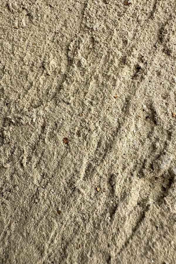 puris_wand_2-1